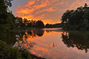 317 Charleston Dr, Clayton, NC 27527 - Photo 43