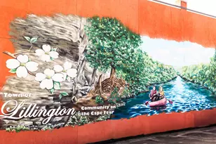 12 Sea Palm Ct, Lillington, NC 27546 - Photo 5