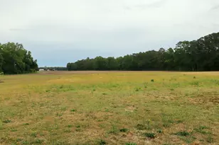 1240 Bloomery Rd, Bailey, NC 27807 - Photo 3