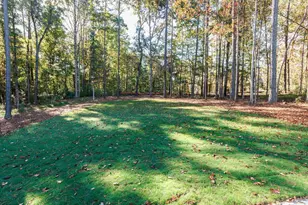 289 Gaines Trl, Pittsboro, NC 27312 - Photo 3