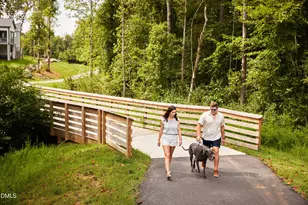 68 Wandering Wy, Pittsboro, NC 27312 - Photo 43