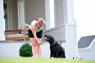 68 Wandering Wy, Pittsboro, NC 27312 - Photo 31