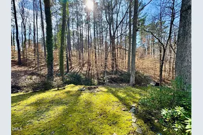 206 Beechwood Trail, Henderson, NC 27536 - Photo 59