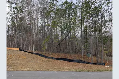 101 Richmond Run, Stem, NC 27581 - Photo 3