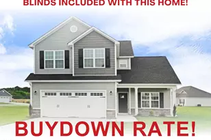 201 Talton Farm Dr, Pikeville, NC 27863 - Photo 1