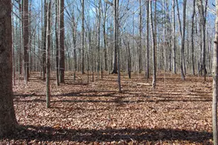 0 Barnett Rd, Mebane, NC 27302 - Photo 25