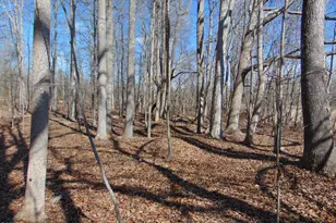 0 Barnett Rd, Mebane, NC 27302 - Photo 29