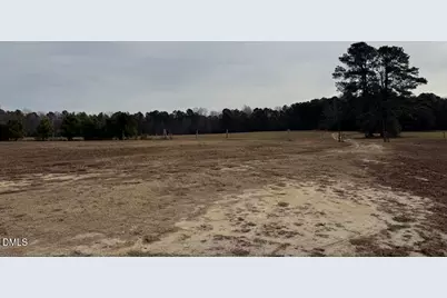 0 Murphy Road, Youngsville, NC 27596 - Photo 3