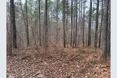 0 Murphy Road, Youngsville, NC 27596 - Photo 11