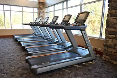 812 Willow Tower Court, Rolesville, NC 27571 - Photo 49