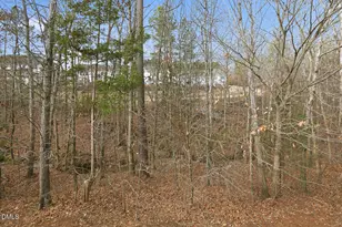 2245 Mayo Forest Ln, Morrisville, NC 27560 - Photo 43