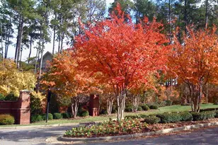 1114 Arborgate Cir, Chapel Hill, NC 27514 - Photo 1