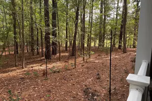 1114 Arborgate Cir, Chapel Hill, NC 27514 - Photo 33