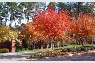 1114 Arborgate Circle, Chapel Hill, NC 27514 - Photo 57