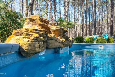 1125 Barclay Manor Way, Raleigh, NC 27614 - Photo 79