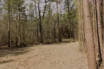 Lot 00 John Snipes Road, Siler City, NC 27344 - Photo 3