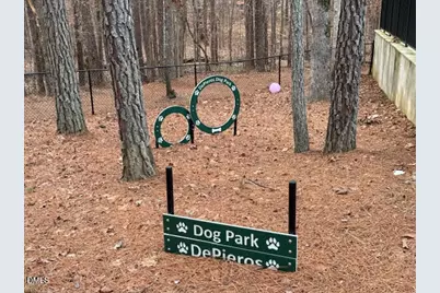 1100 Evensong Court, Youngsville, NC 27596 - Photo 91