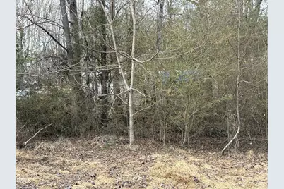 1366 Ned Moore Road, Timberlake, NC 27583 - Photo 5