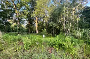 Lot 11 Gallant Fox Crossing, Chapel Hill, NC 27516 - Photo 1