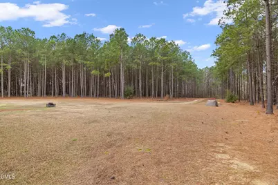 665 Mann Road, Coats, NC 27521 - Photo 31