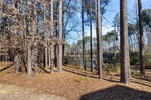 3828 Hickory Manor Dr, Apex, NC 27539 - Photo 61