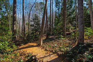 109 Chimeneas Pl, Chapel Hill, NC 27517 - Photo 75