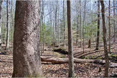 001 Scott Lane, Henderson, NC 27537 - Photo 19