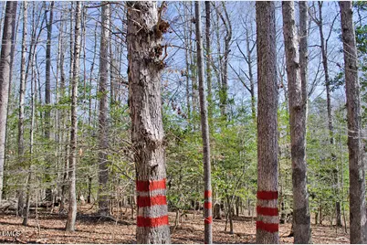 001 Scott Lane, Henderson, NC 27537 - Photo 21