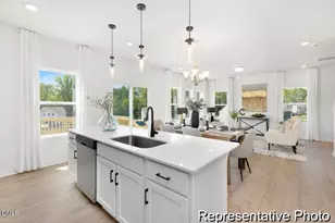 49 Cypress Hollow Ln, Erwin, NC 28334 - Photo 3