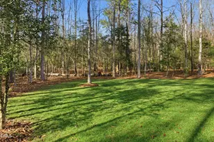 143 Christenbury Ln, Clayton, NC 27527 - Photo 99