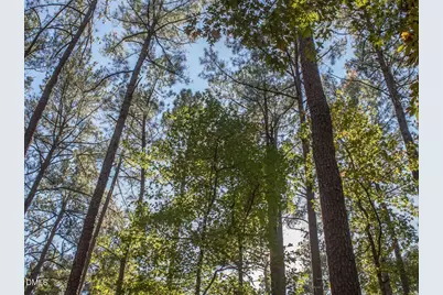 83 Broad Leaf Court, Chapel Hill, NC 27517 - Photo 87