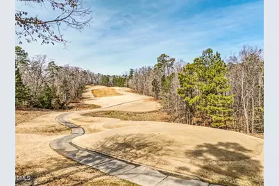 83 Broad Leaf Court, Chapel Hill, NC 27517 - Photo 59