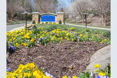 83 Broad Leaf Court, Chapel Hill, NC 27517 - Photo 69