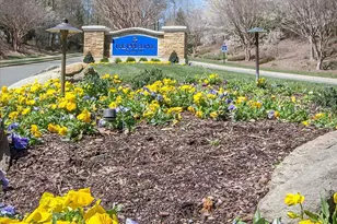 83 Broad Leaf Ct, Chapel Hill, NC 27517 - Photo 69