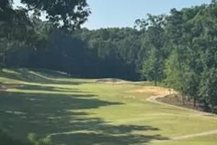 83 Broad Leaf Ct, Chapel Hill, NC 27517 - Photo 89