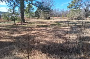 149 Fox Trot Wy, Wilsons Mills, NC 27577 - Photo 15