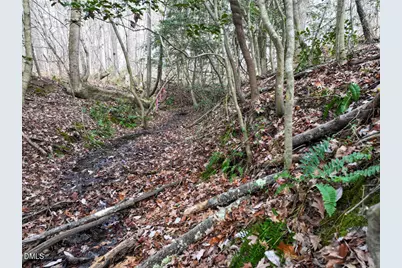 55 Spring Lane, Henderson, NC 27537 - Photo 15