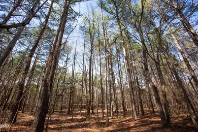 176 Southwick Avenue, Clayton, NC 27527 - Photo 37