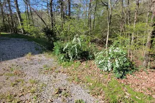 7901 River Ridge Rd, Wake Forest, NC 27587 - Photo 7