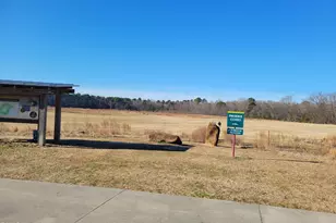 7901 River Ridge Rd, Wake Forest, NC 27587 - Photo 33