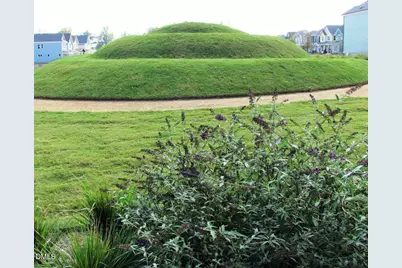 700 Tobacco Farm Way, Chapel Hill, NC 27516 - Photo 91