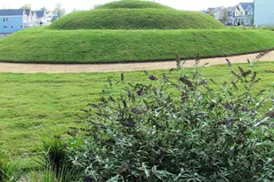 700 Tobacco Farm Way, Chapel Hill, NC 27516 - Photo 91