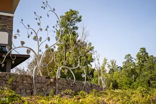 700 Tobacco Farm Way, Chapel Hill, NC 27516 - Photo 79