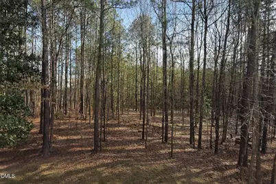 212 Capistrane Drive, Cary, NC 27519 - Photo 37