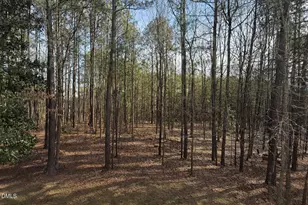 212 Capistrane Dr, Cary, NC 27519 - Photo 37