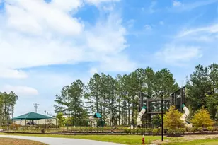 312 Royal Mdw Dr, Angier, NC 27501 - Photo 29