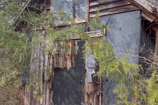 460 Medford Oakley Rd, Rougemont, NC 27572 - Photo 35