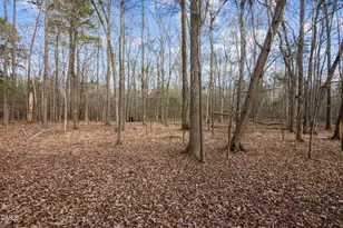 8814 Partridge Run, Chapel Hill, NC 27516 - Photo 37