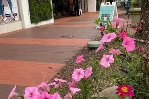 933 St Marys St, Raleigh, NC 27605 - Photo 33