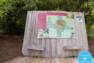 120 Copper Leaf Ave, Chapel Hill, NC 27516 - Photo 21